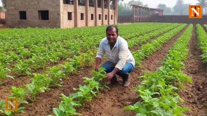 Nagpur Central Jail Inmates Grow Crops Worth ₹79 Lakh in 3 Years